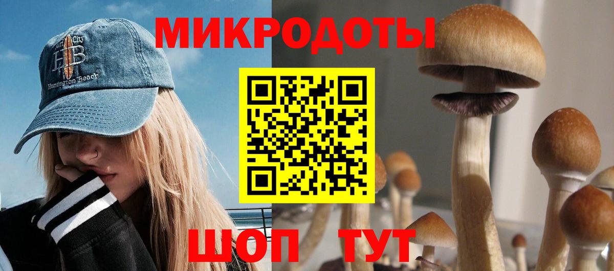 Галлюциногенные грибы прущие грибы  как найти наркотики  Кольчугино  Вход с VPN 