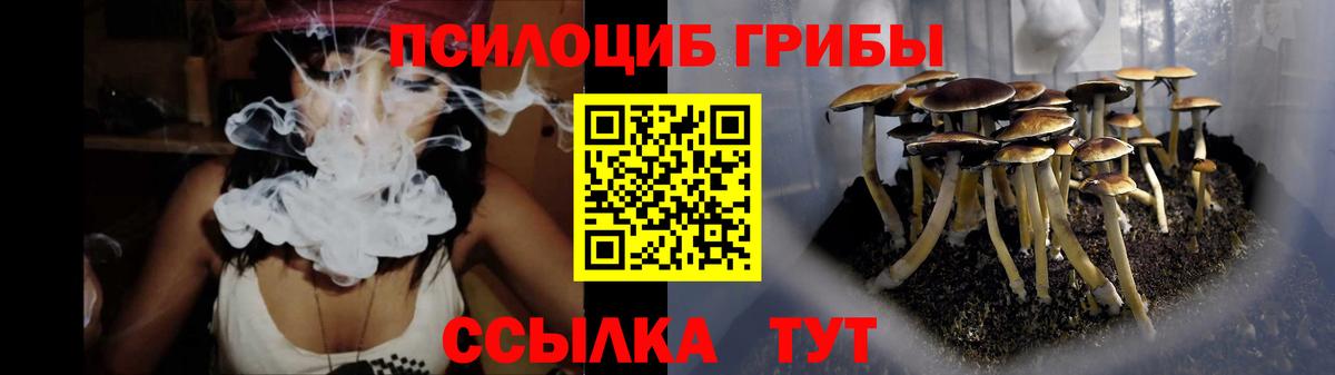 Галлюциногенные грибы Cubensis Кольчугино